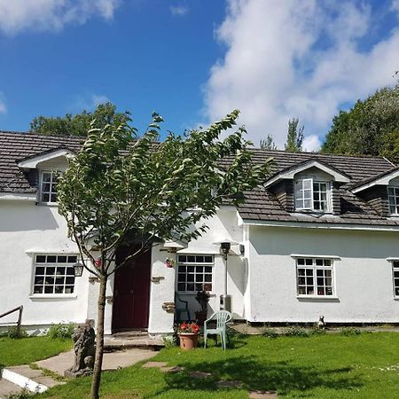 Coynant Farm Guesthouse - Farm Park Stay Swansea Bagian luar foto
