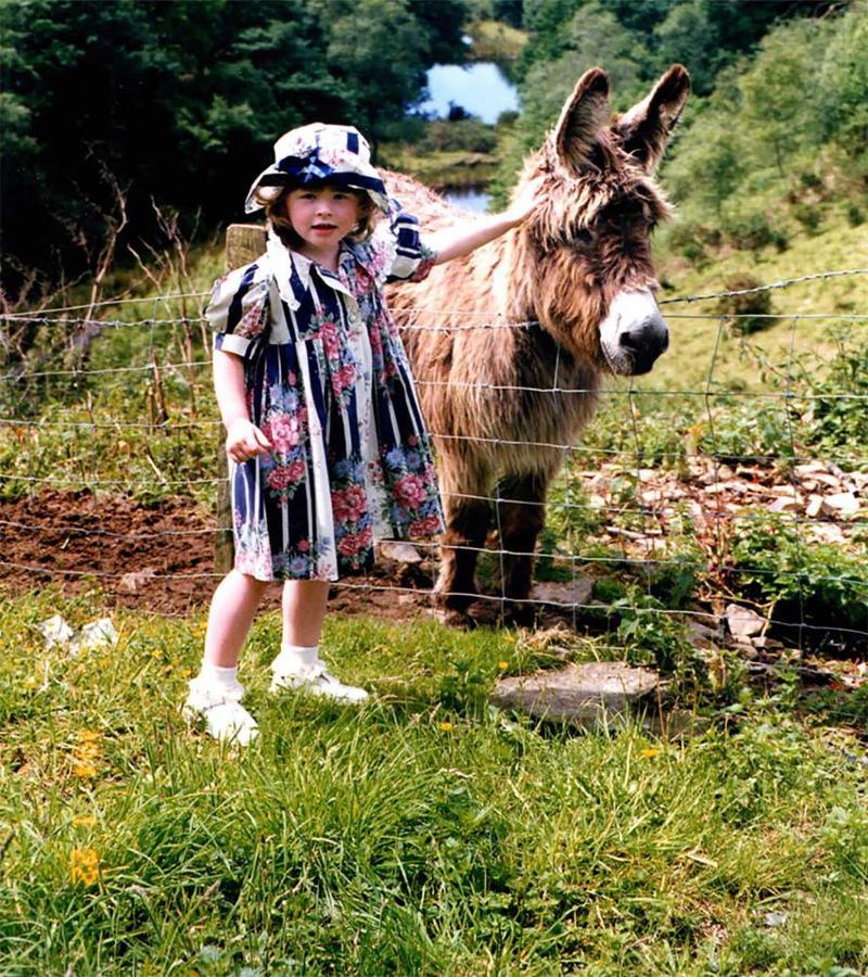 Coynant Farm Guesthouse - Farm Park Stay Swansea Bagian luar foto