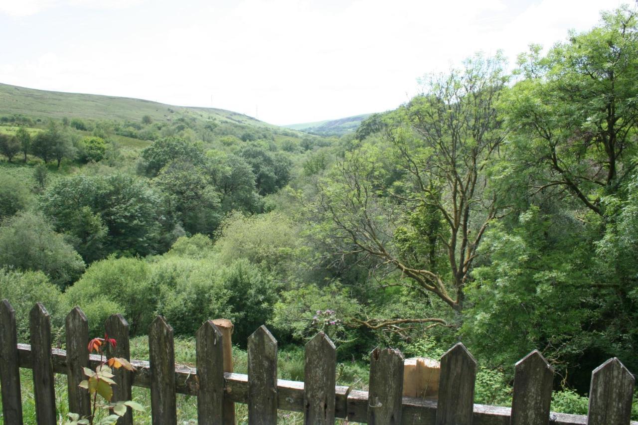 Coynant Farm Guesthouse - Farm Park Stay Swansea Bagian luar foto