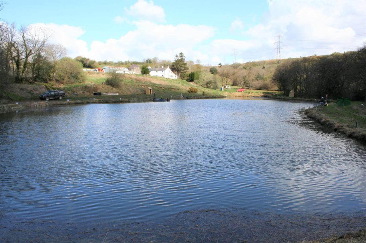 Coynant Farm Guesthouse - Farm Park Stay Swansea Bagian luar foto