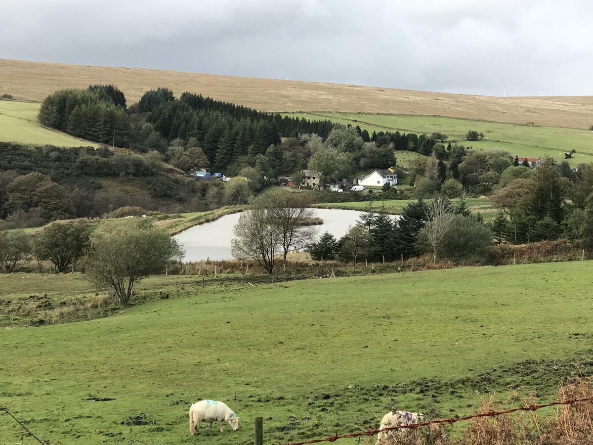 Coynant Farm Guesthouse - Farm Park Stay Swansea Bagian luar foto