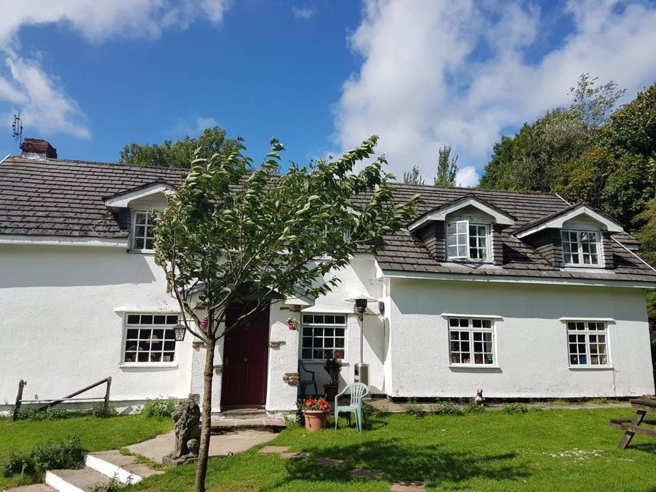 Coynant Farm Guesthouse - Farm Park Stay Swansea Bagian luar foto